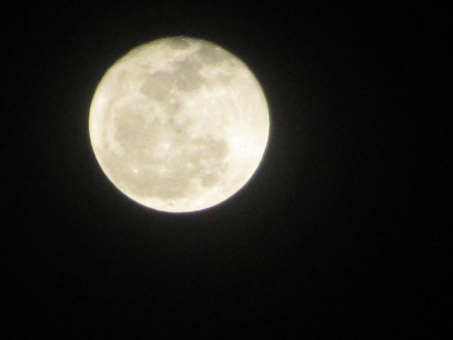 b0202185_84213.jpg