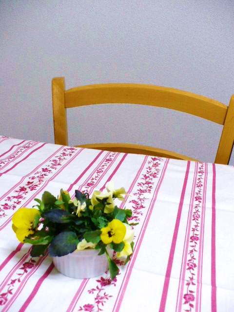 c0198685_1714330.jpg