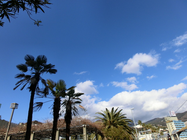 b0203588_853656.jpg