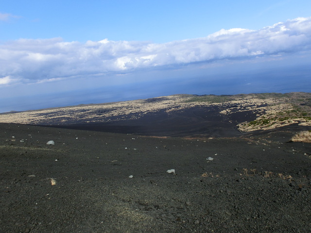 b0203588_8595315.jpg