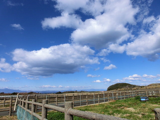 b0203588_9152913.jpg