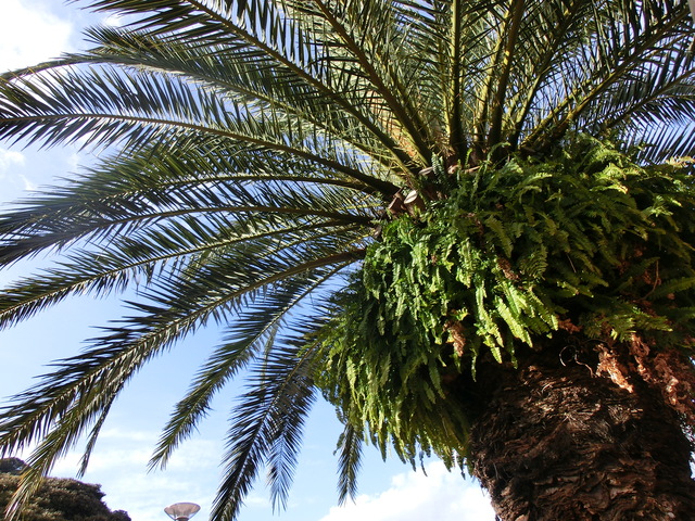 b0203588_925113.jpg