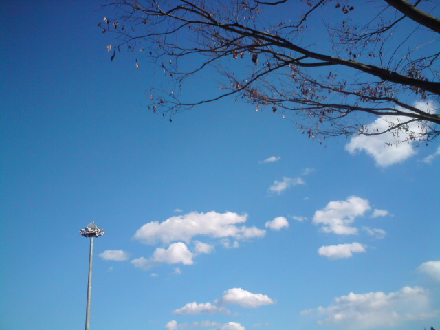 c0122788_1525298.jpg