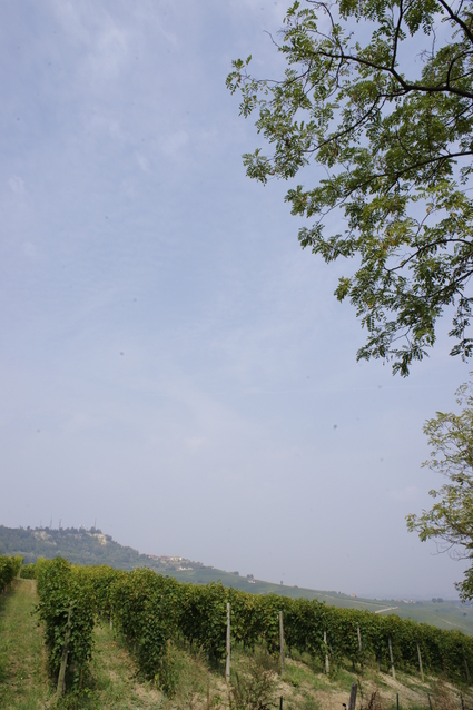 b0246303_192660.jpg
