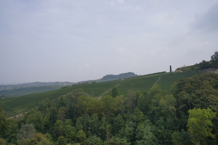 b0246303_27522.jpg