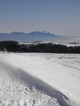d0032405_1218543.jpg