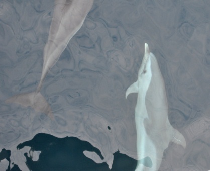 f0048405_1431032.jpg