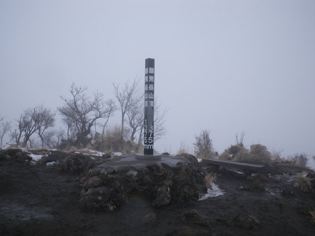 d0006512_04437.jpg