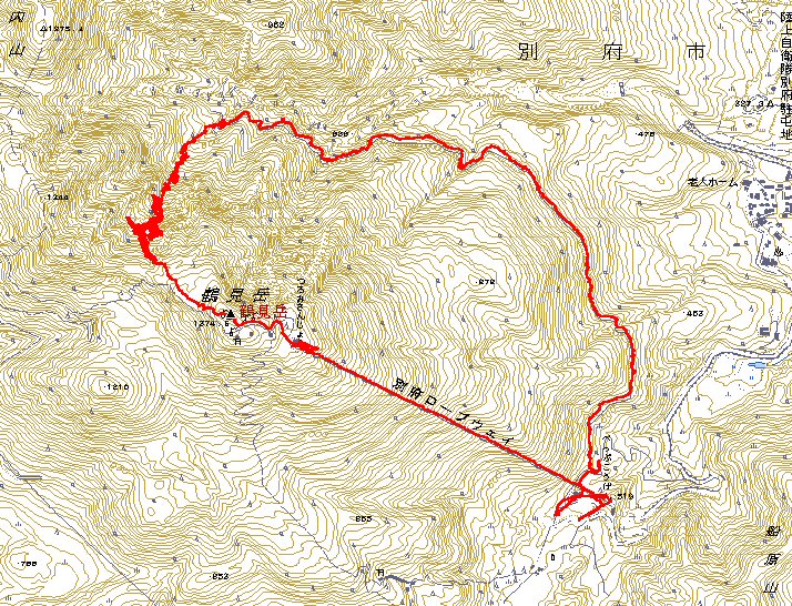 d0006512_1038053.jpg