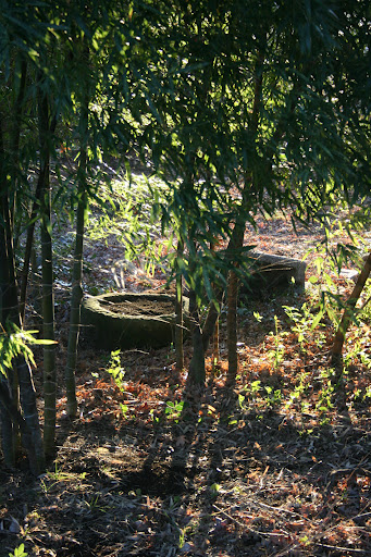d0070113_22295293.jpg