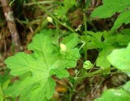 a0043520_21595655.jpg