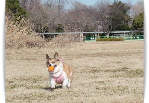 f0182121_14445093.jpg