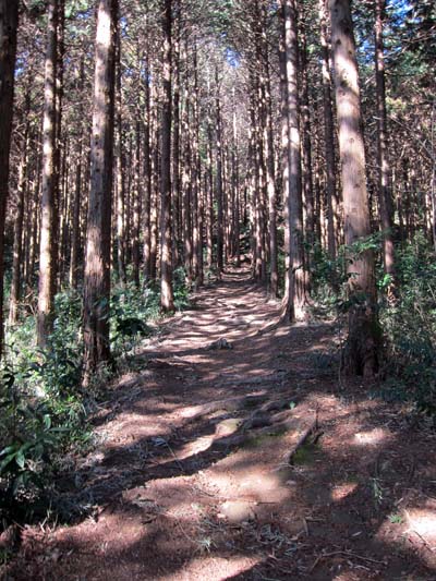f0147025_1353505.jpg