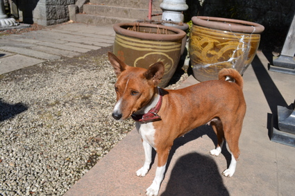 e0228938_22201954.jpg