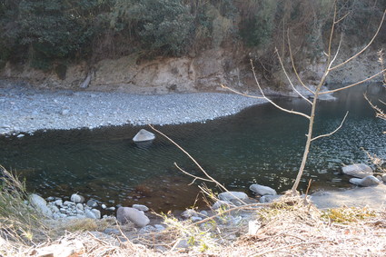 e0228938_2227180.jpg