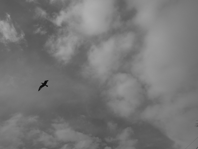 a0087341_2323679.jpg