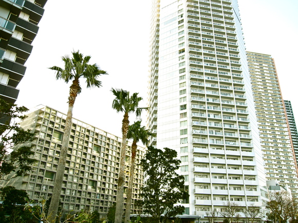 c0054141_058748.jpg