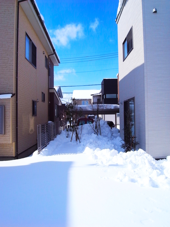 b0235548_1605443.jpg
