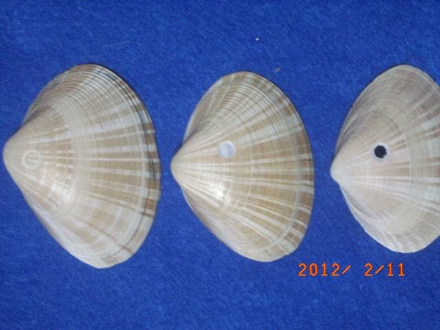 a0157451_21155565.jpg