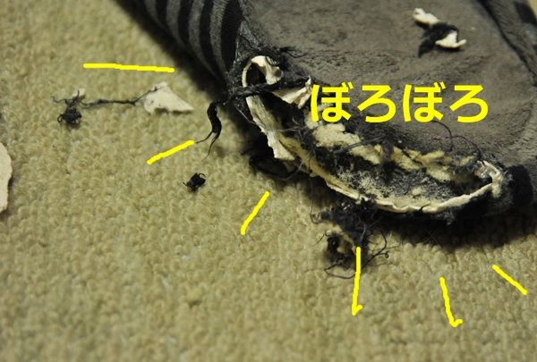 e0020166_8471811.jpg
