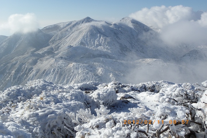 f0016066_2035663.jpg