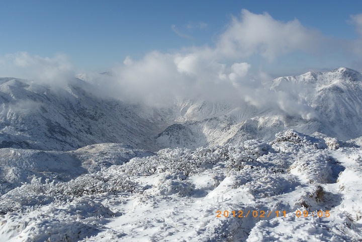 f0016066_2041314.jpg