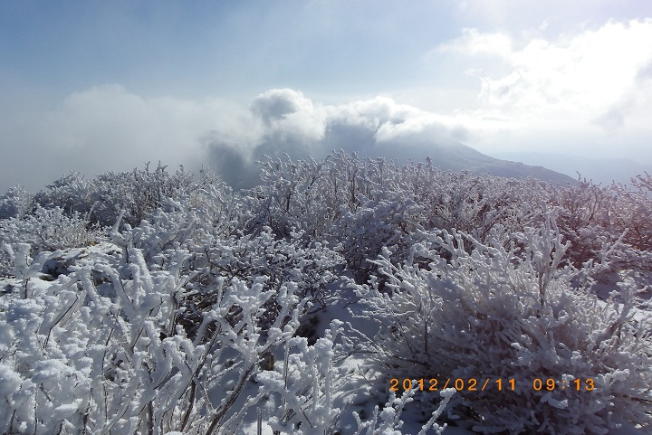 f0016066_21171056.jpg