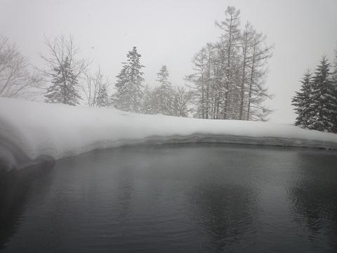 f0036269_1650561.jpg