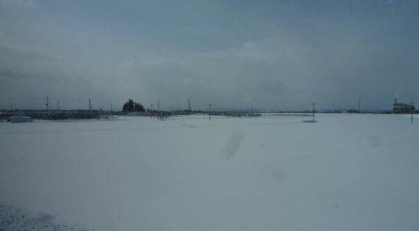 d0030373_9493863.jpg