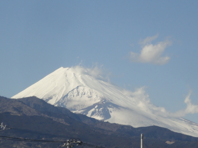 d0109373_051262.jpg