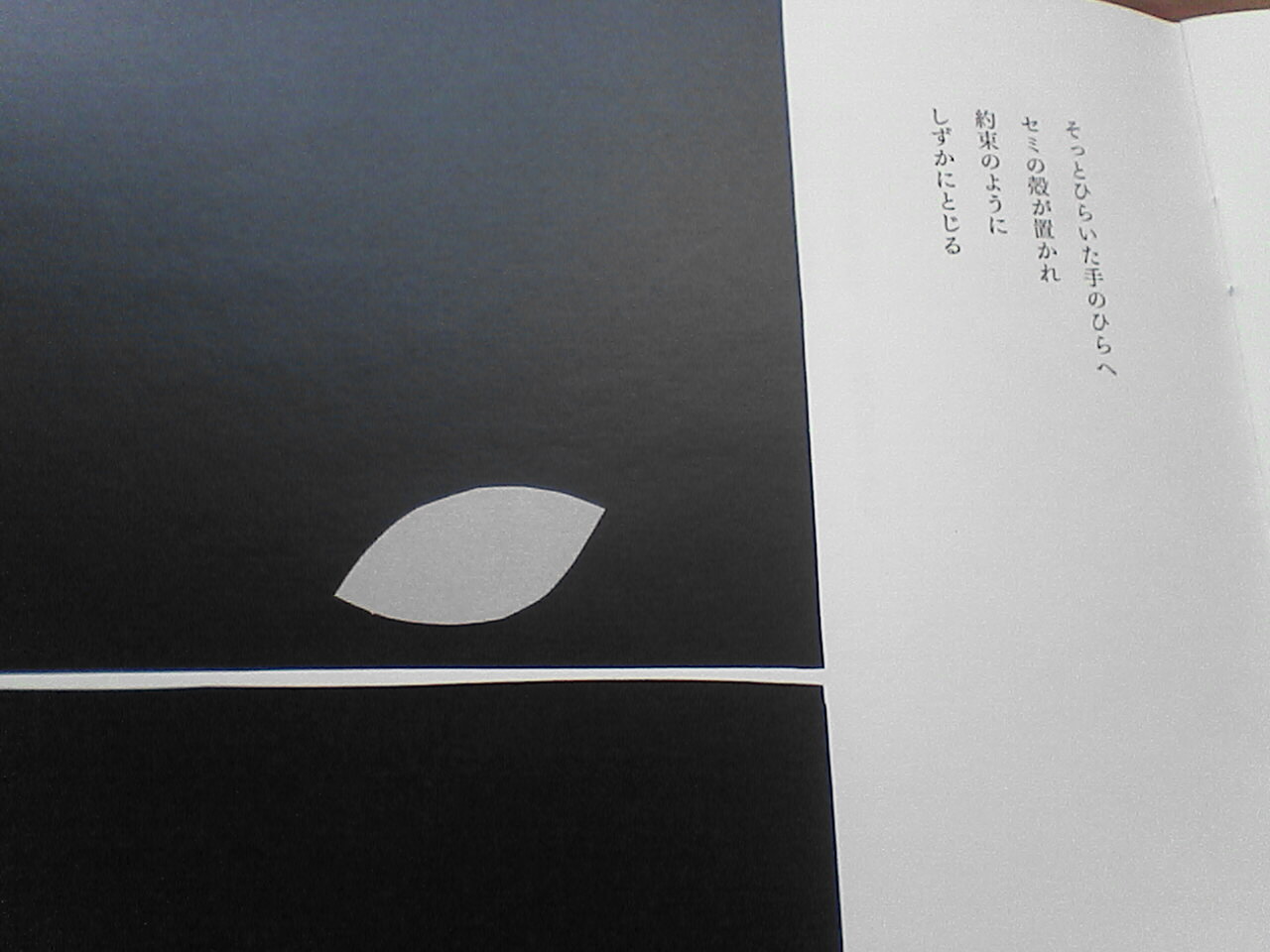 c0069380_1049345.jpg