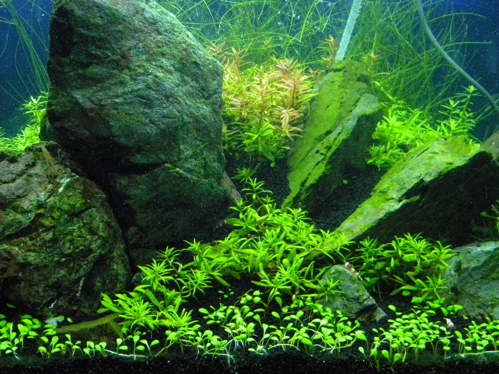 f0138093_15395559.jpg