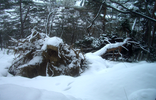 b0099994_1427563.jpg