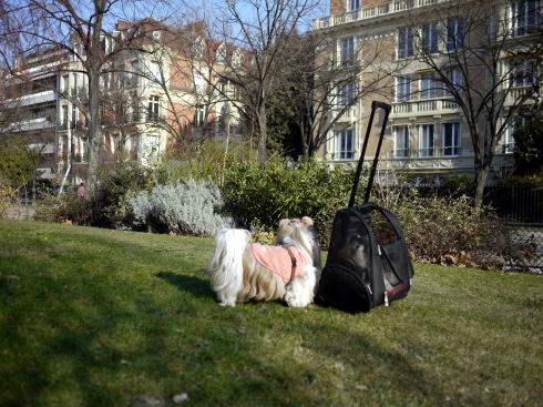 c0090198_4462178.jpg