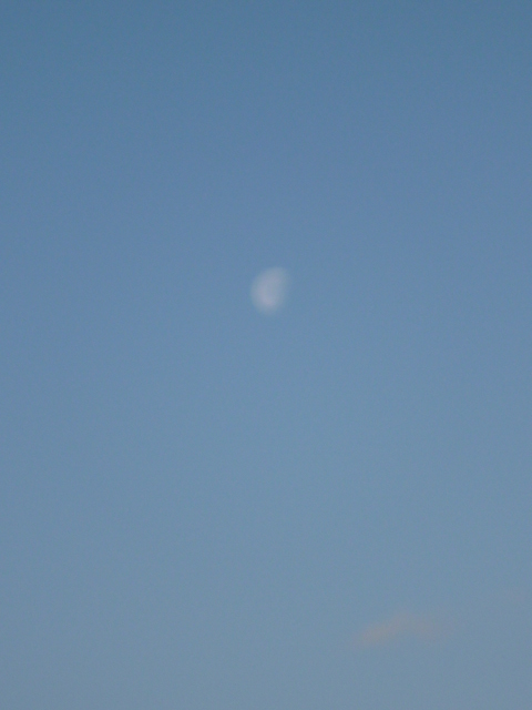 c0220700_1253294.jpg