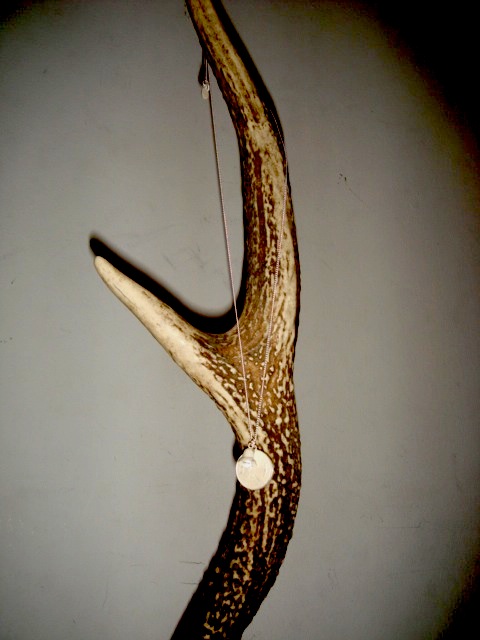 b0168403_2064472.jpg