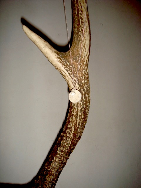 b0168403_2065123.jpg