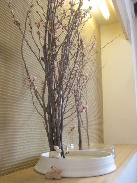 f0202703_22503433.jpg