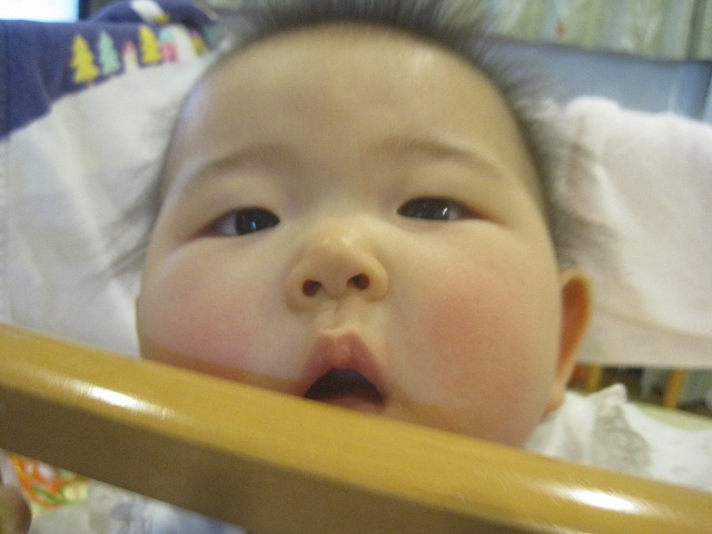 f0202703_22525811.jpg
