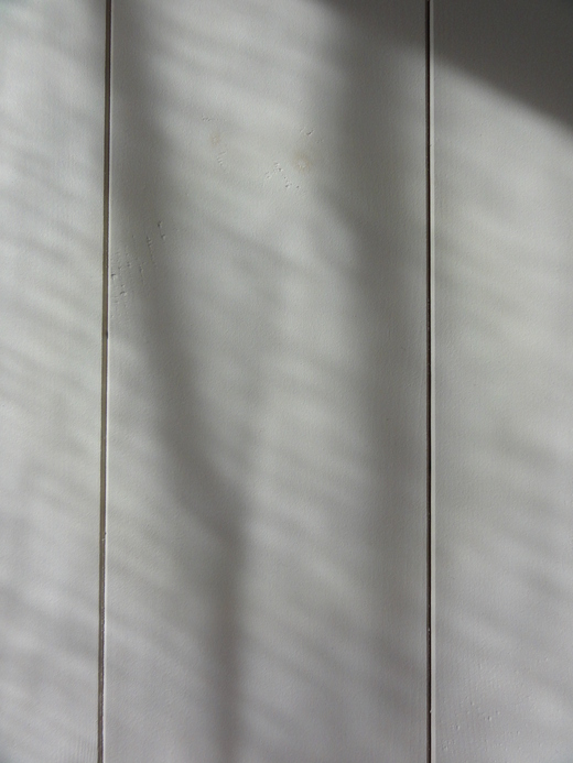 a0199304_15513914.jpg