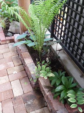 e0234004_2061033.jpg