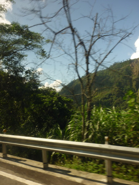a0194615_1055977.jpg