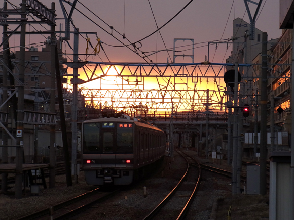 e0083517_355990.jpg