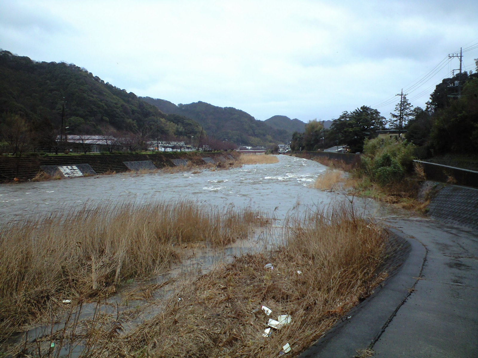 d0168318_12165319.jpg