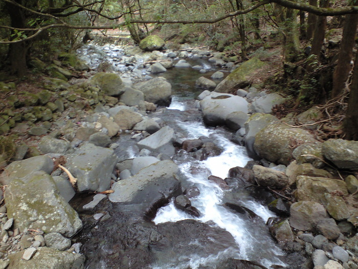 d0168318_12292394.jpg
