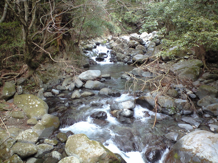 d0168318_122927.jpg