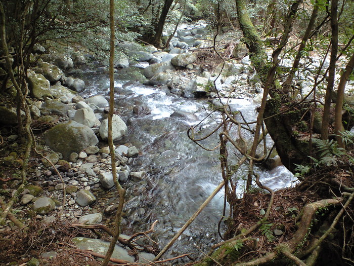 d0168318_1230037.jpg