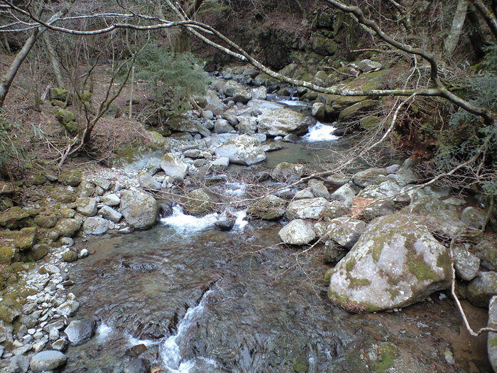 d0168318_12321044.jpg
