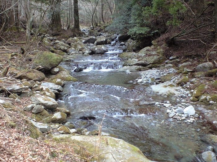 d0168318_12322956.jpg