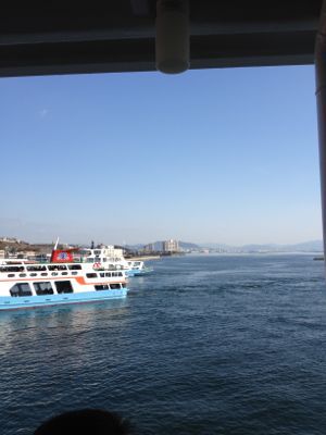 d0141922_11342362.jpg
